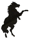 Pot Bellied Stallions Logo